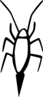 bugs coloring pages