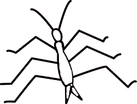 bugs coloring pages