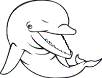 dolphin coloring pages