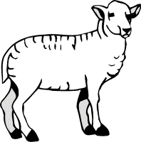 farm animal coloring pages