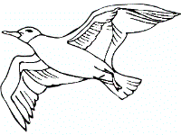 free bird coloring pages