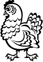 free bird coloring pages