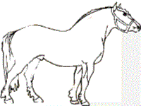 free horse coloring pages