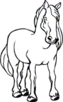 free horse coloring pages