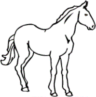 free horse coloring pages