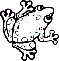 frog coloring pages