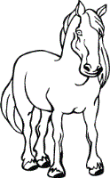 pony coloring pages