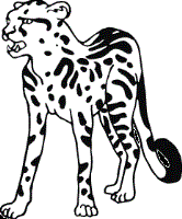 zoo animals coloring pages